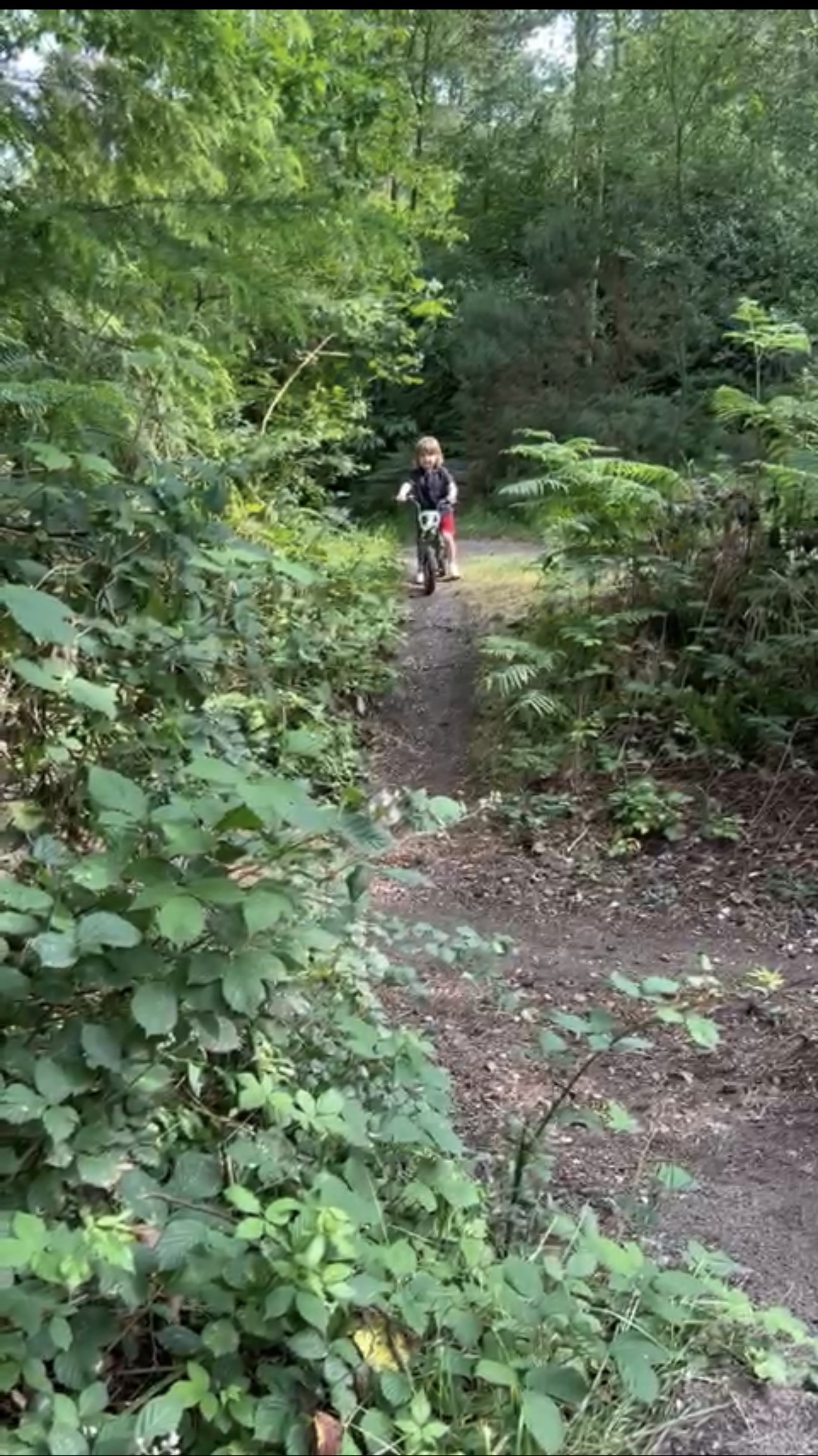 Child cycling along a woodland trail in Cannon Hill Forest